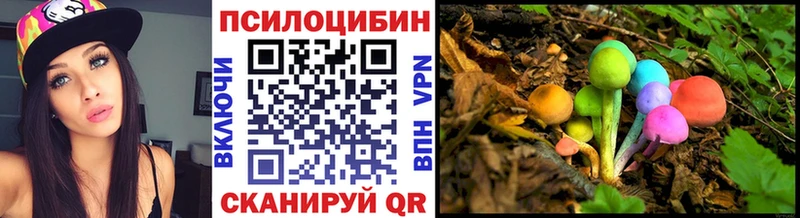 закладка Новый Оскол Галлюциногенные грибы Psilocybine cubensis